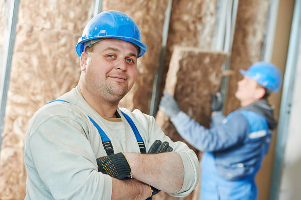 Best Energy Efficiency Insulation in Soh Ogden, UT