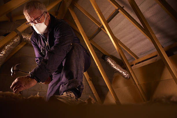 Best Insulation Maintenance and Repair in Soh Ogden, UT